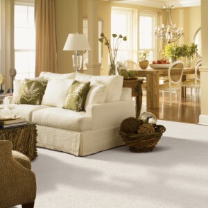 White Carpet | Concept Flooring