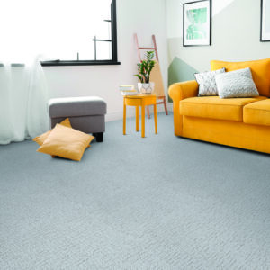 Gray Carpet | Concept Flooring