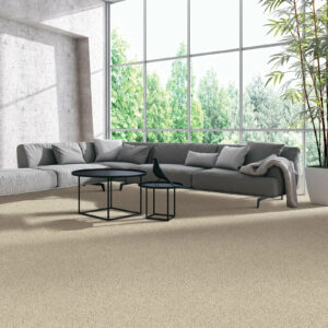 Carpet Room | Concept Flooring