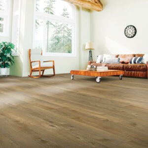 Living Room Laminate | Concept Flooring
