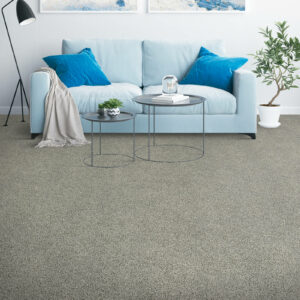 Blue Couch On Carpet | Concept Flooring