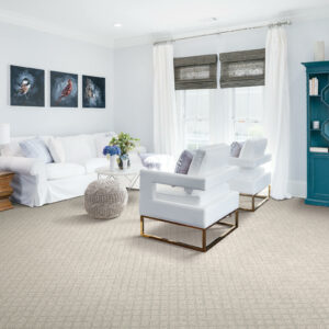 Brown Carpet Room | Concept Flooring