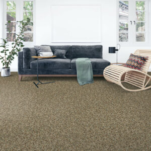 Brown Carpet | Concept Flooring
