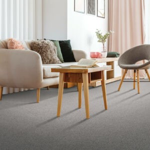 Trendy Carpet | Concept Flooring