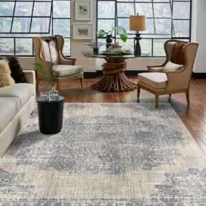 Living Room Area Rug | Concept Flooring